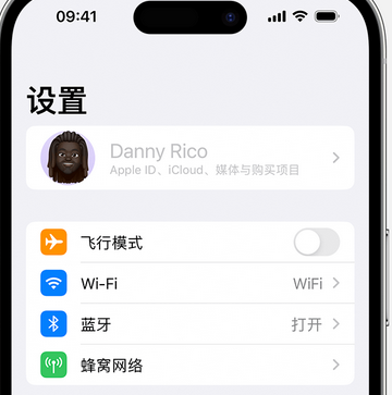 寻甸appleID维修服务iPhone设置中Apple ID显示为灰色无法使用