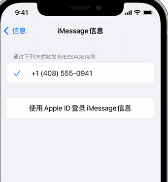 寻甸apple维修iPhone上无法正常发送iMessage信息