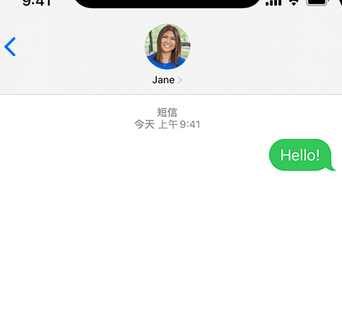 寻甸apple维修iPhone上无法正常发送iMessage信息