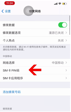 寻甸苹果14维修网分享如何给iPhone14的SIM卡设置密码 