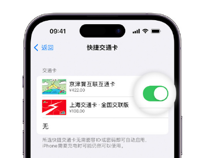 寻甸apple维修点分享iPhone上更换Apple Pay快捷交通卡手绘卡面 