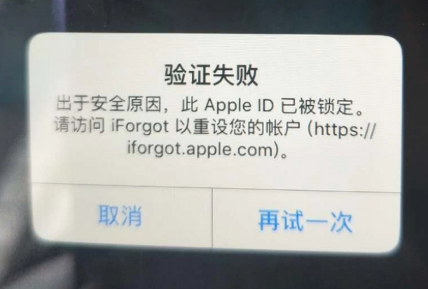 寻甸iPhone维修分享iPhone上正常登录或使用AppleID怎么办 