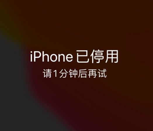 寻甸苹果手机维修分享:iPhone 显示“不可用”或“已停用”怎么办？还能保留数据吗？ 