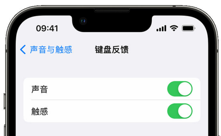 寻甸苹果手机维修分享iPhone 14触感键盘使用方法 