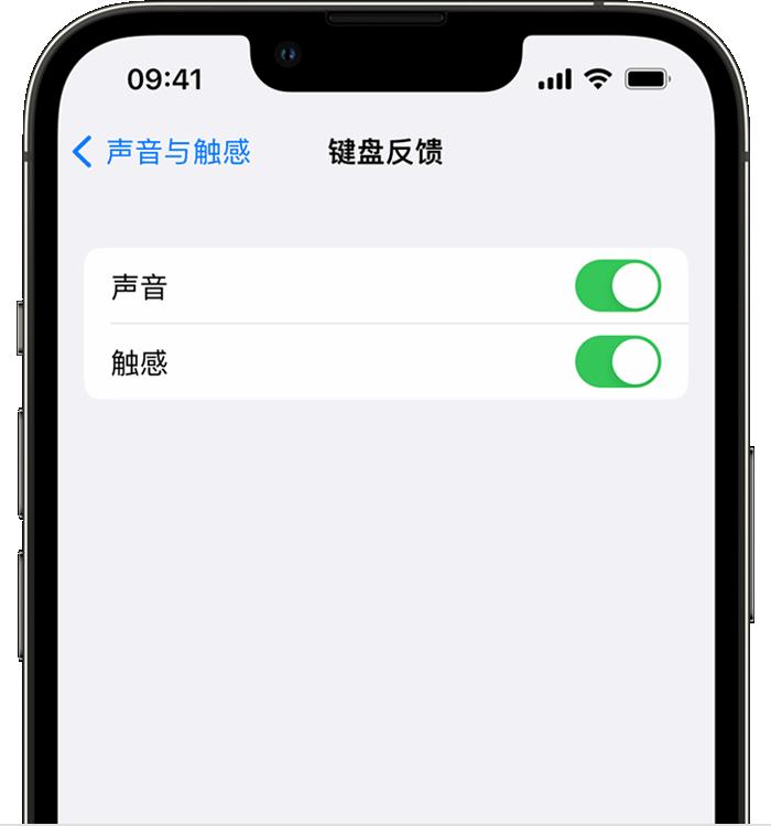 寻甸苹果14维修店分享如何在 iPhone 14 机型中使用触感键盘 