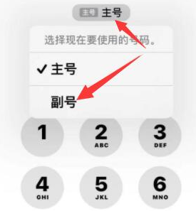 寻甸苹果14维修店分享iPhone 14 Pro Max使用副卡打电话的方法 