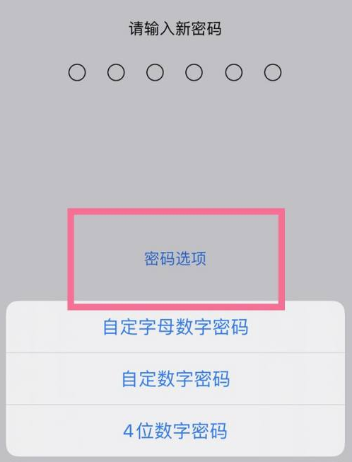 寻甸苹果14维修分享iPhone 14plus设置密码的方法 