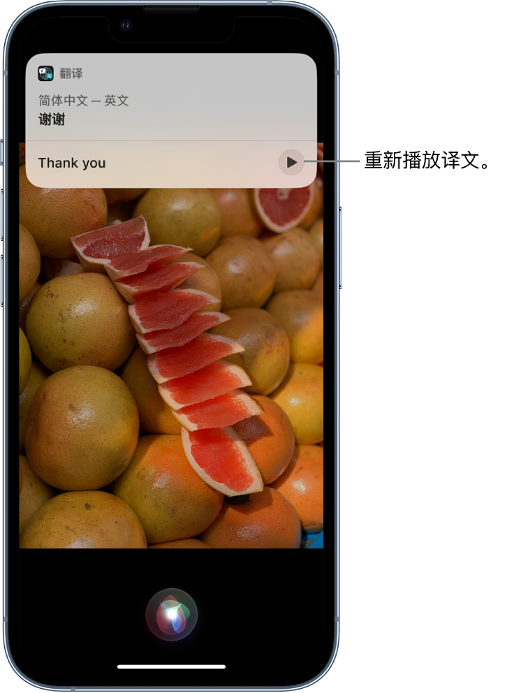 寻甸苹果14维修分享 iPhone 14 机型中使用 Siri：了解 Siri 能帮你做什么 