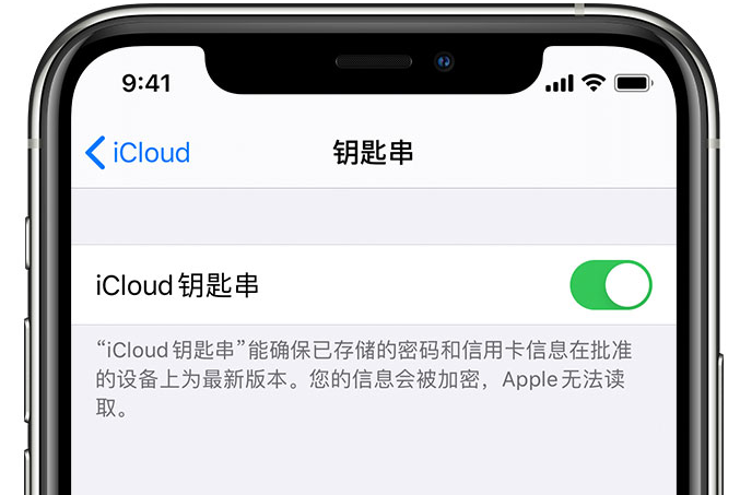 寻甸苹果手机维修分享在 iPhone 上开启 iCloud 钥匙串之后会储存哪些信息 