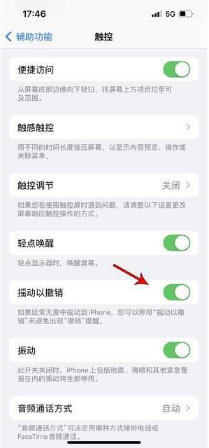 寻甸苹果手机维修分享iPhone手机如何设置摇一摇删除文字 