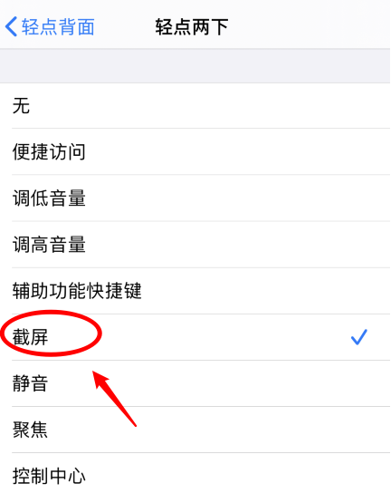 寻甸苹果手机维修分享iPhone12如何启用双击截屏 