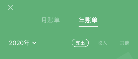 寻甸苹果手机维修分享如何在 iPhone 上查看支付宝和微信年支出账单 