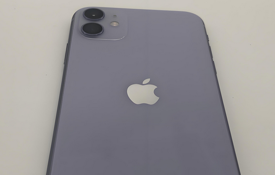 寻甸苹果11系统维修分享iPhone11手机系统崩溃无法开机如何解决 